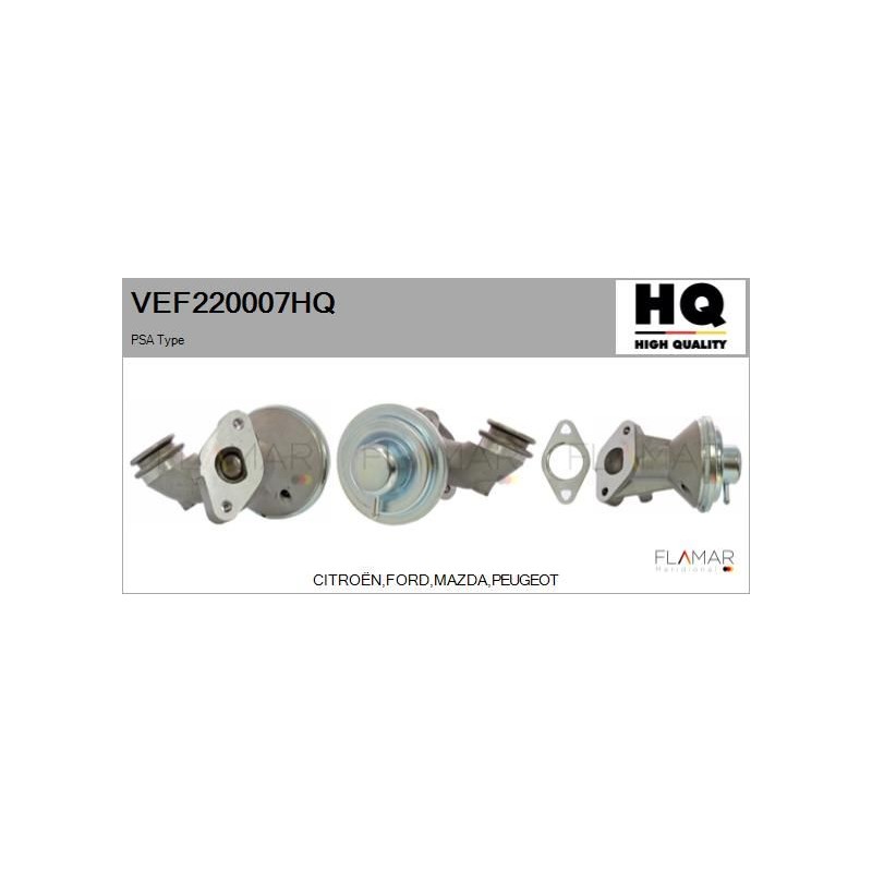 FLAMAR VEF220007HQ Válvula EGR - 1