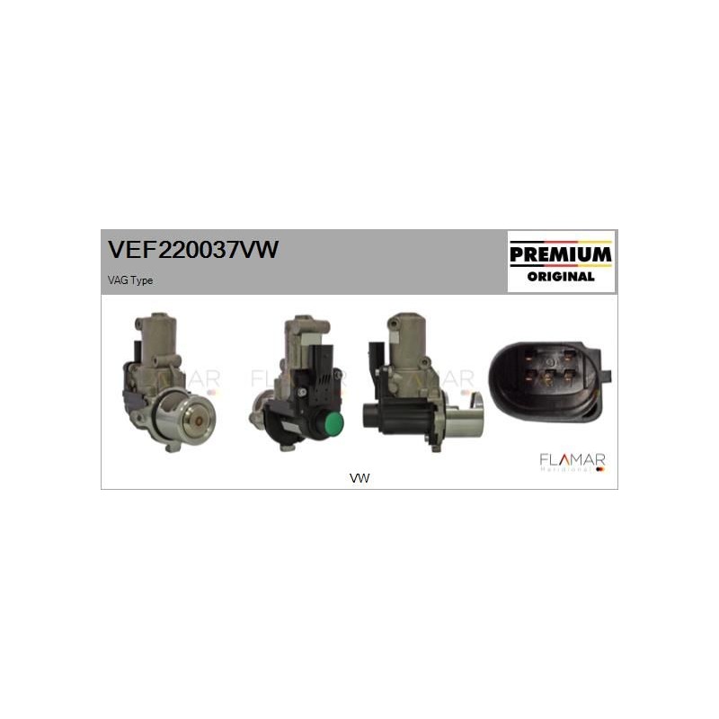 FLAMAR VEF220037VW Válvula EGR - 1