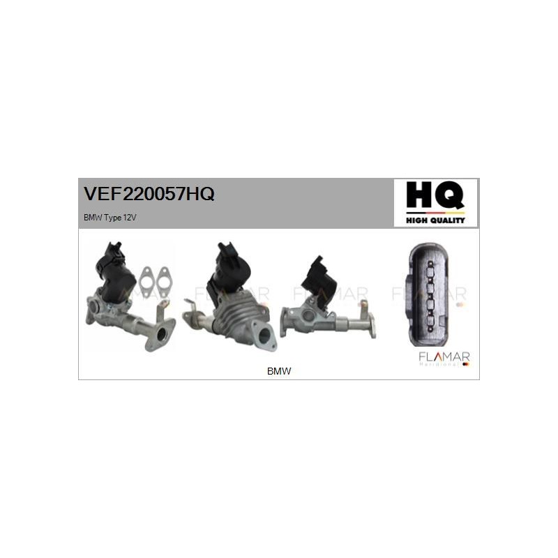 FLAMAR VEF220057HQ Válvula EGR - 1