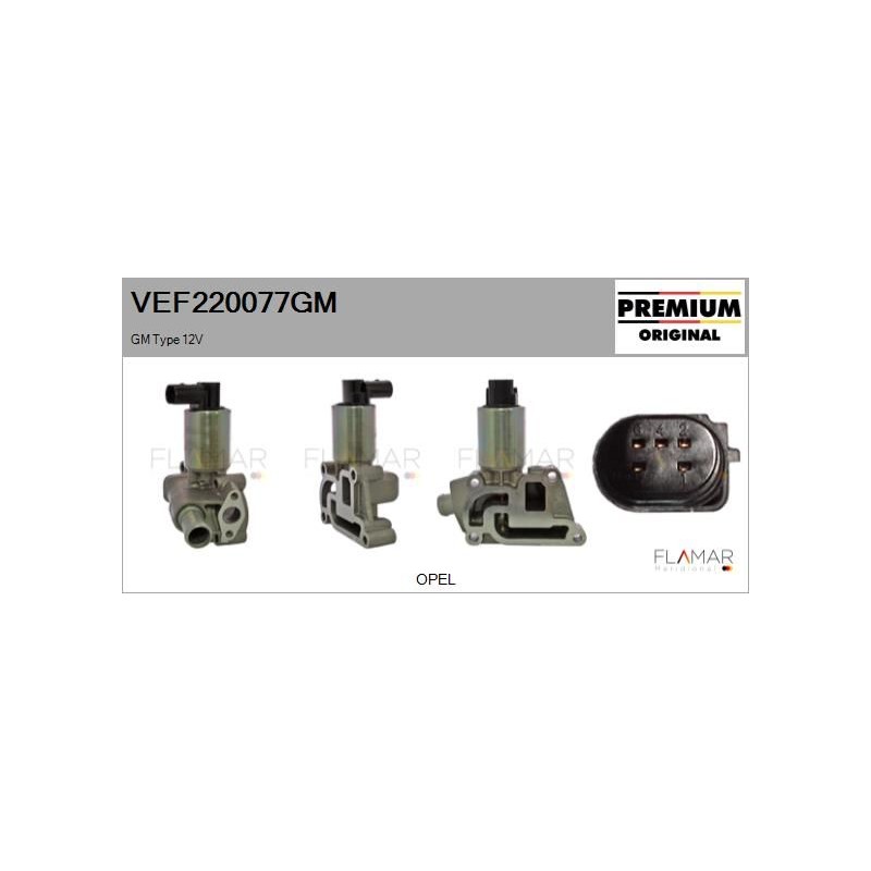 FLAMAR VEF220077GM Válvula EGR - 1