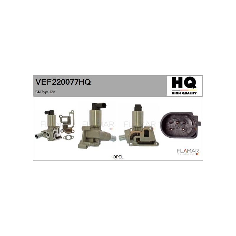 FLAMAR VEF220077HQ Válvula EGR - 1