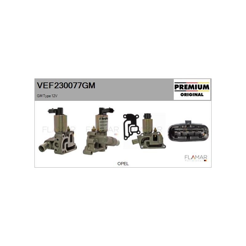 FLAMAR VEF230077GM Válvula EGR - 1