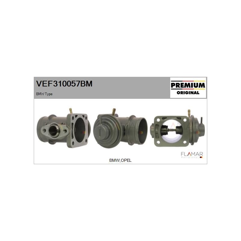 FLAMAR VEF310057BM Válvula EGR - 1