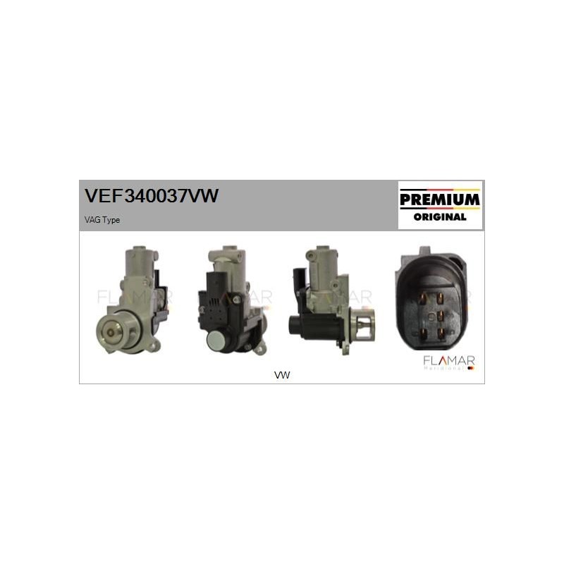 FLAMAR VEF340037VW Válvula EGR - 1
