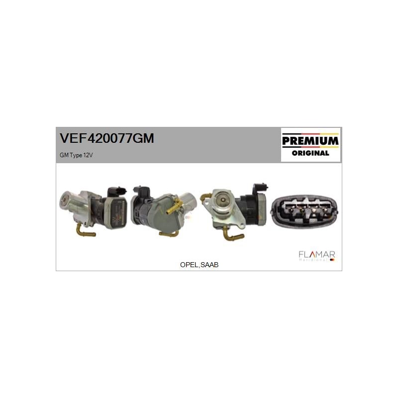 FLAMAR VEF420077GM Válvula EGR - 1