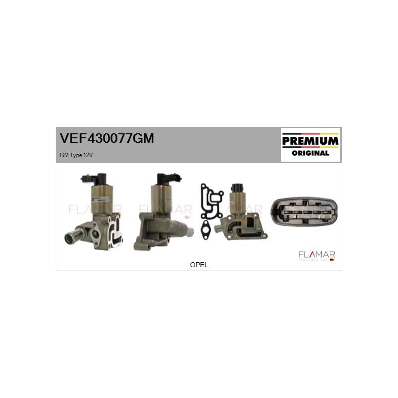 FLAMAR VEF430077GM Válvula EGR - 1