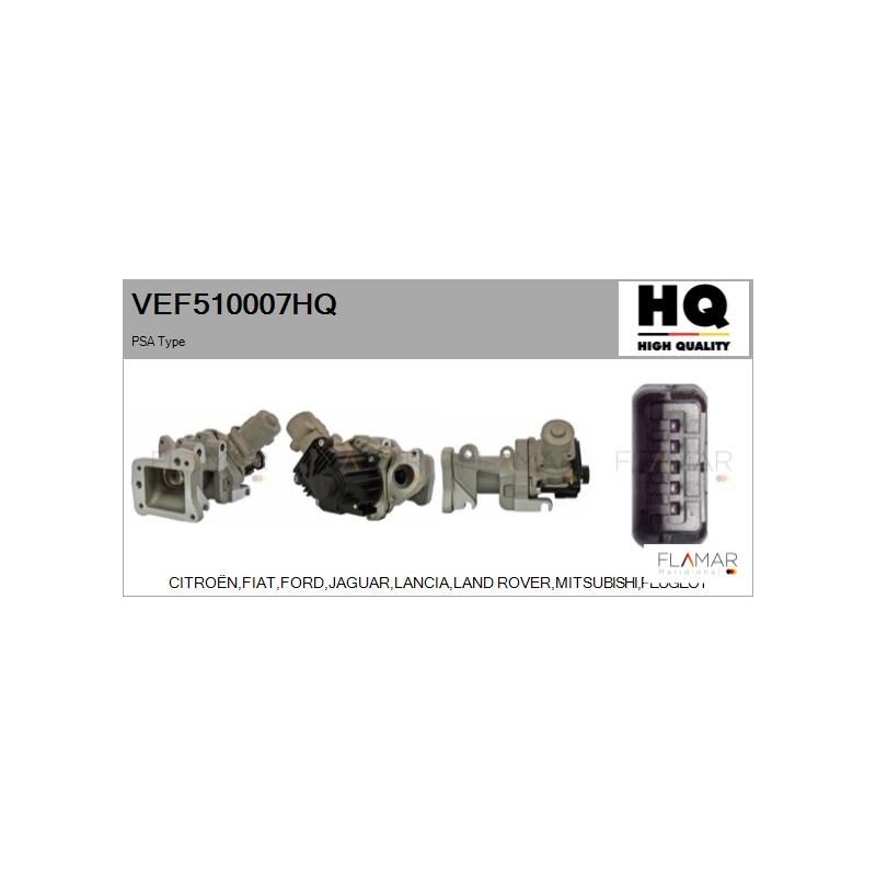 FLAMAR VEF510007HQ Válvula EGR - 1