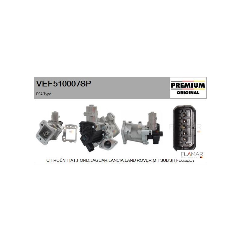 FLAMAR VEF510007SP Válvula EGR - 1