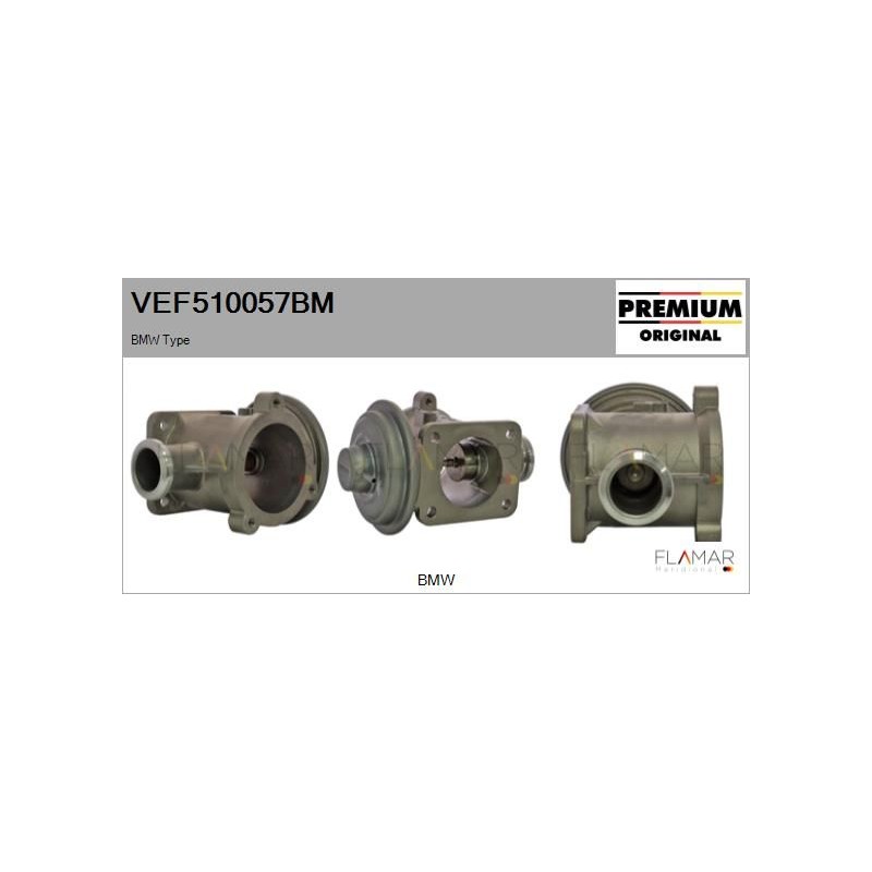 FLAMAR VEF510057BM Válvula EGR - 1