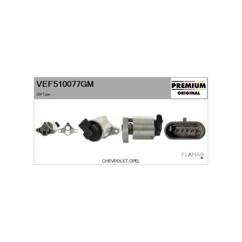 FLAMAR VEF510077GM Válvula EGR - 1