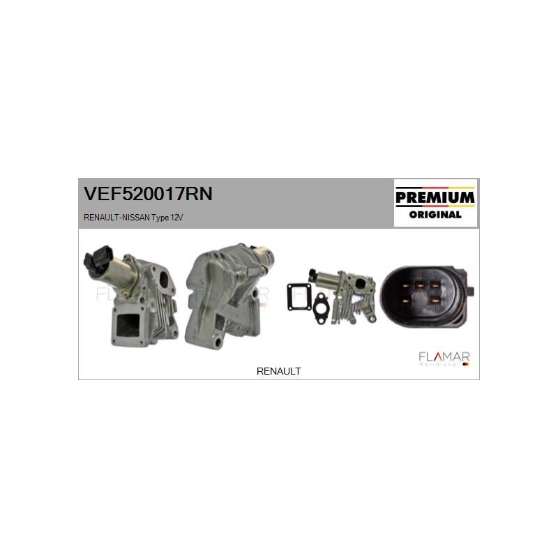FLAMAR VEF520017RN Válvula EGR - 1