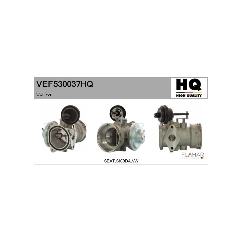 FLAMAR VEF530037HQ Válvula EGR - 1
