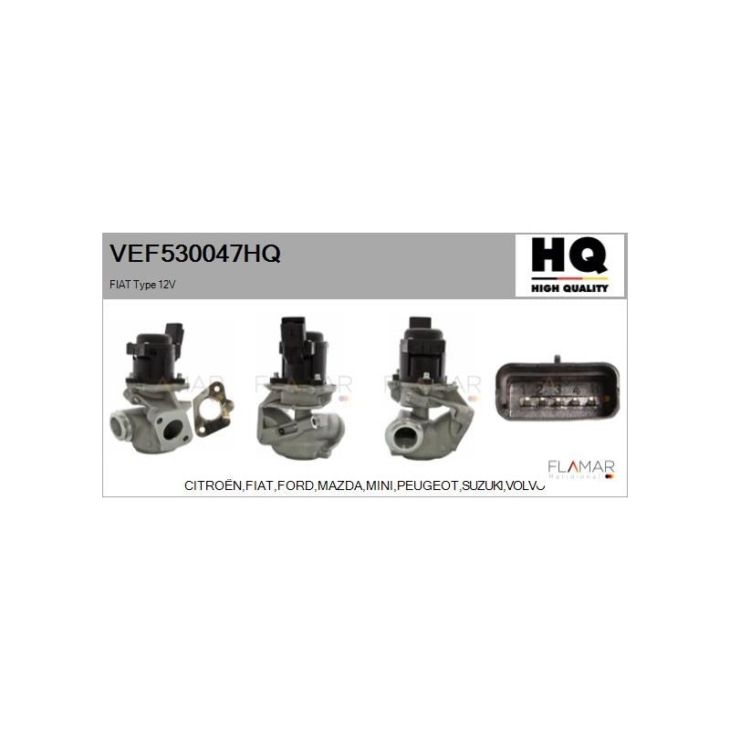 FLAMAR VEF530047HQ Válvula EGR - 1