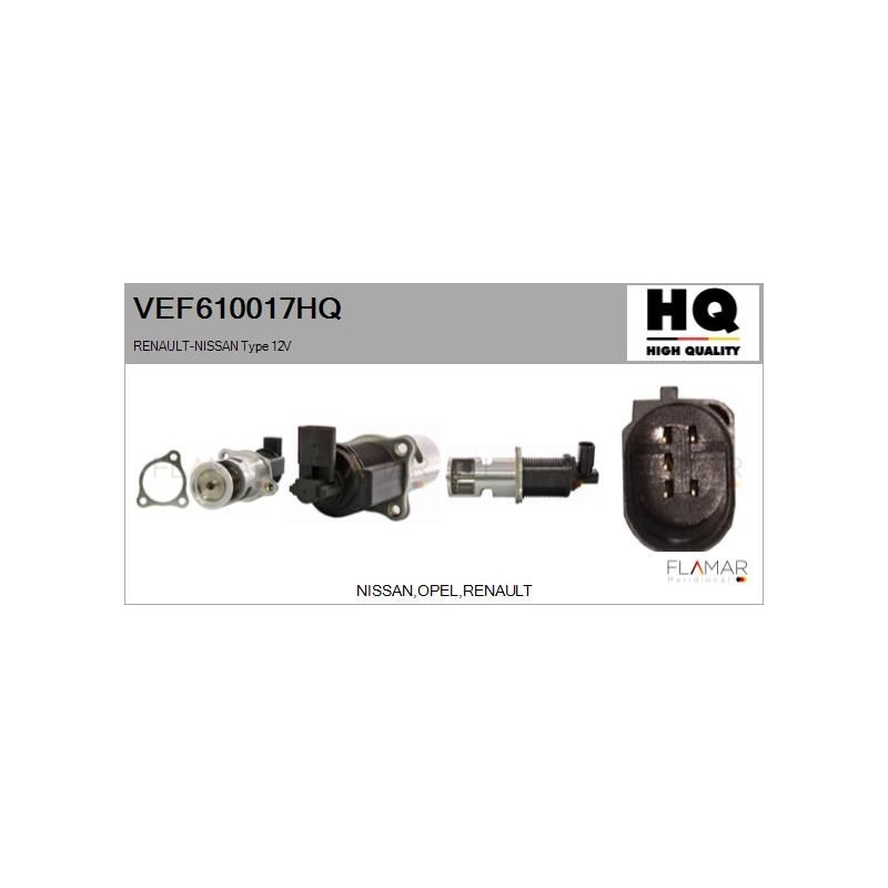 FLAMAR VEF610017HQ Válvula EGR - 1