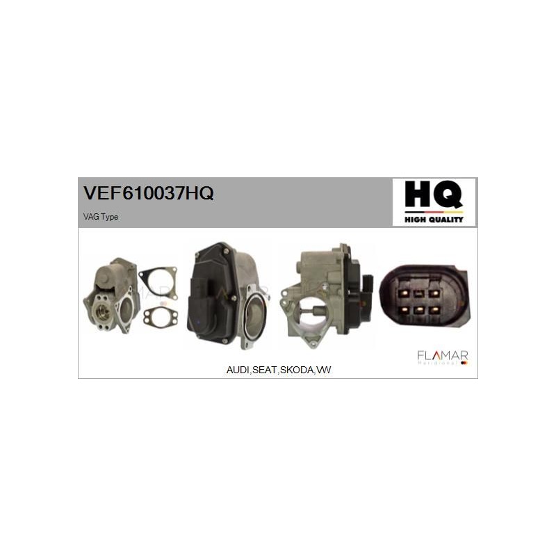 FLAMAR VEF610037HQ Válvula EGR - 1