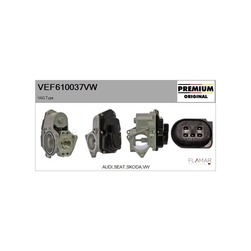 FLAMAR VEF610037VW Válvula EGR - 1