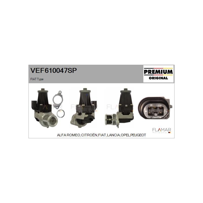 FLAMAR VEF610047SP Válvula EGR - 1