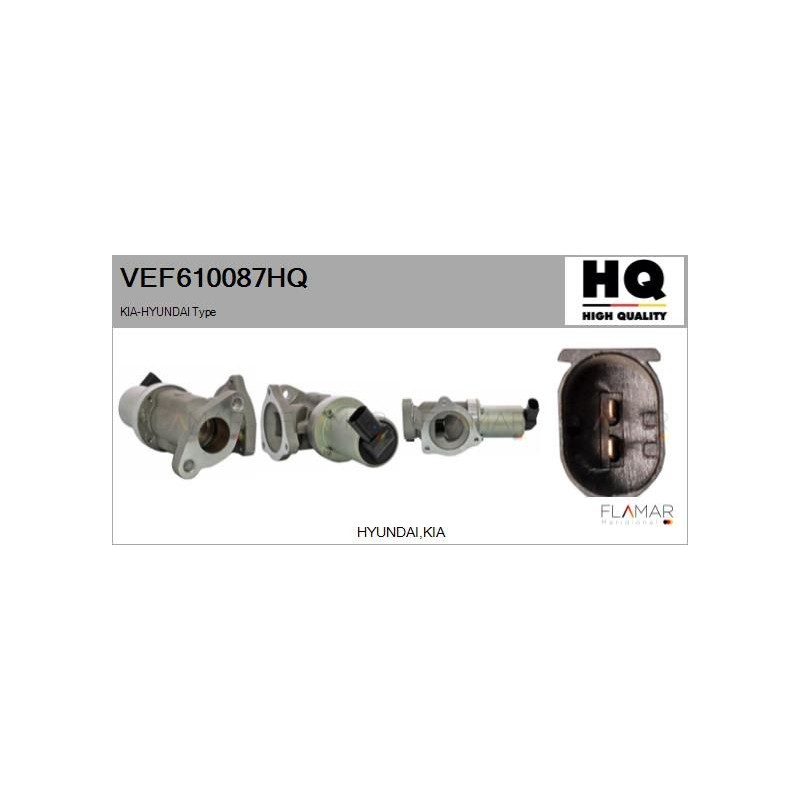 FLAMAR VEF610087HQ Válvula EGR - 1