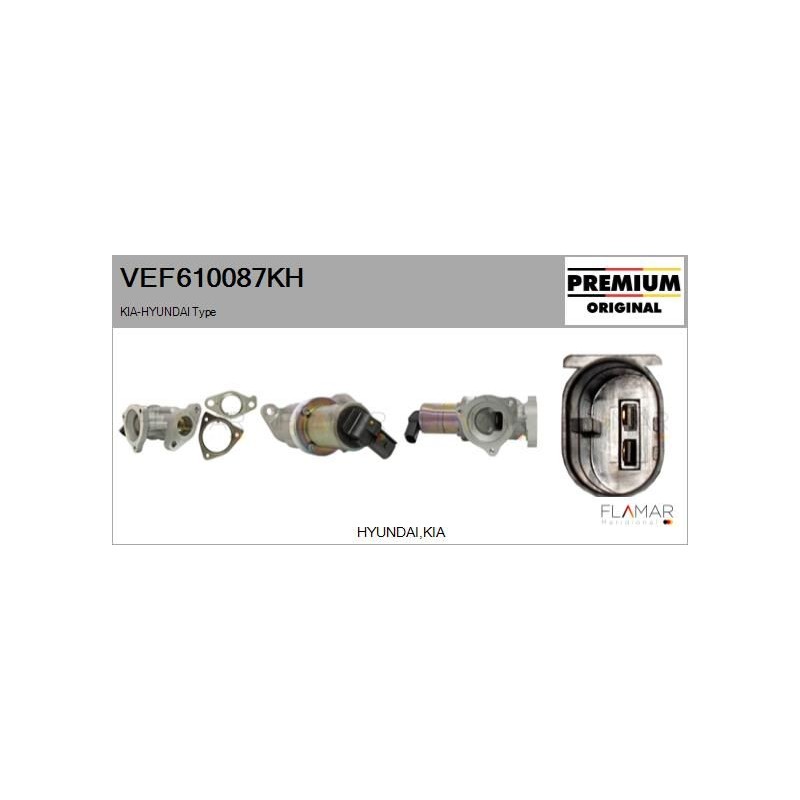 FLAMAR VEF610087KH Válvula EGR - 1