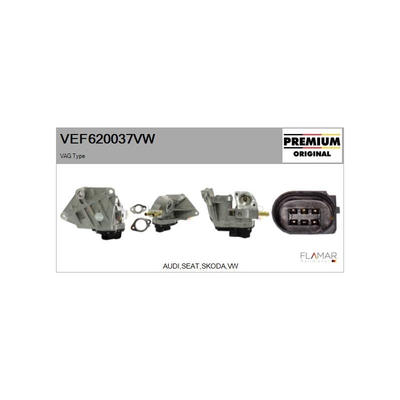 FLAMAR VEF620037VW Válvula EGR - 1