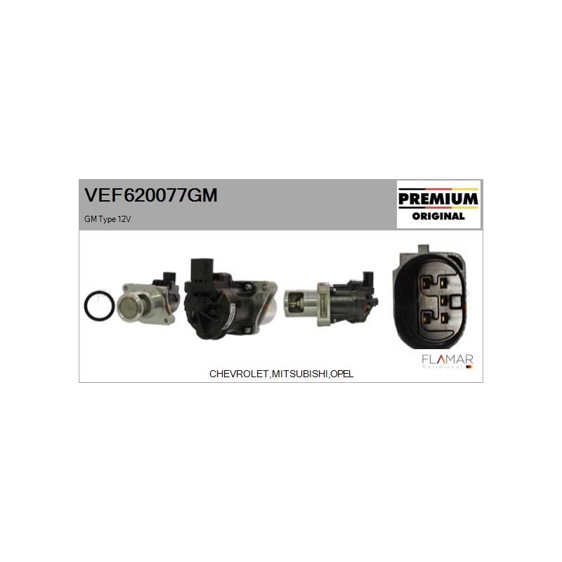 FLAMAR VEF620077GM Válvula EGR - 1