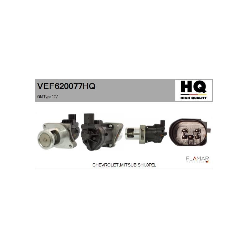 FLAMAR VEF620077HQ Válvula EGR - 1