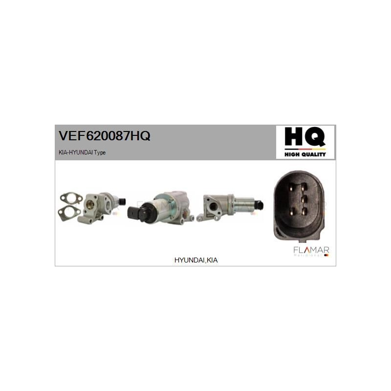 FLAMAR VEF620087HQ Válvula EGR - 1