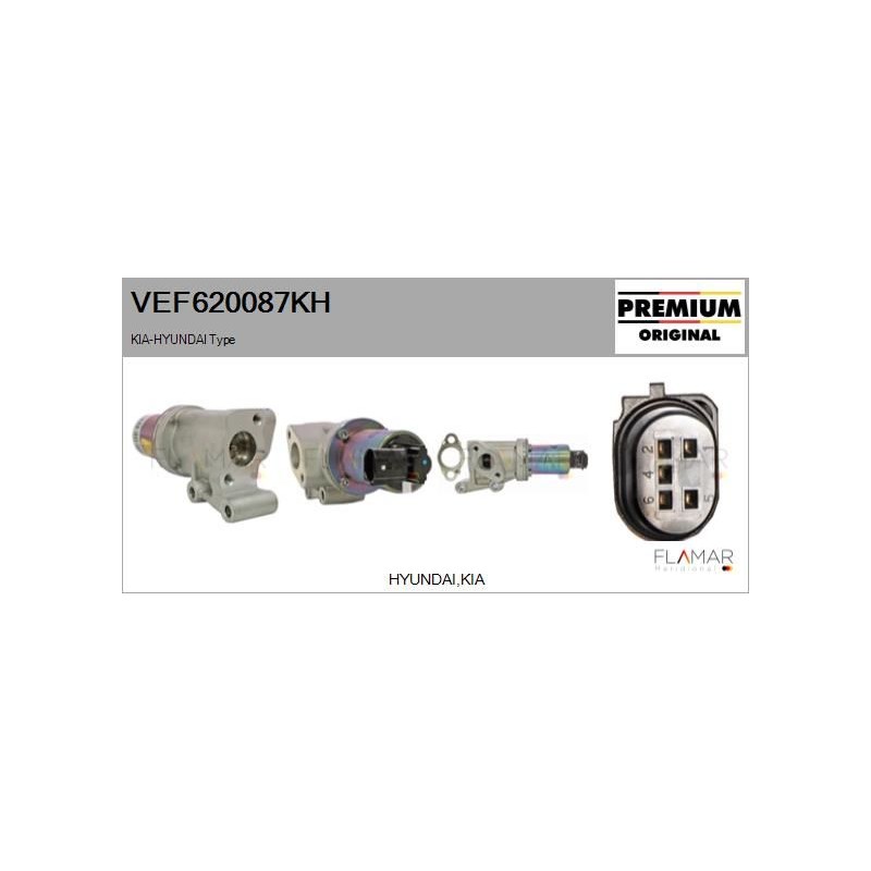 FLAMAR VEF620087KH Válvula EGR - 1