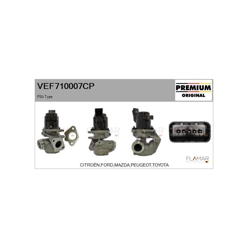 FLAMAR VEF710007CP Válvula EGR - 1