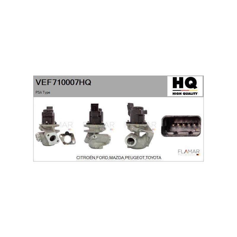 FLAMAR VEF710007HQ Válvula EGR - 1