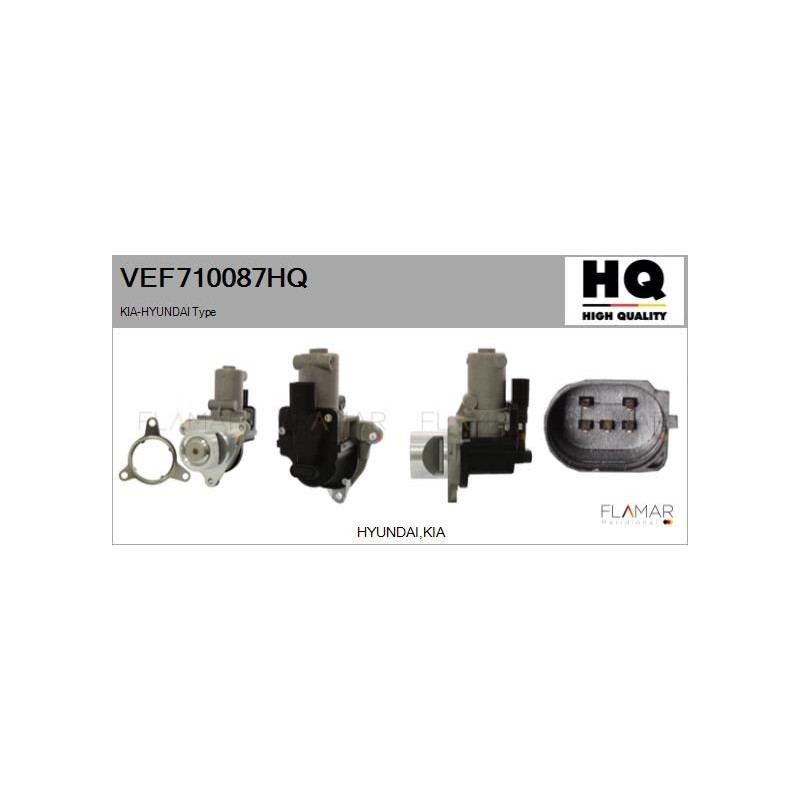 FLAMAR VEF710087HQ Válvula EGR - 1