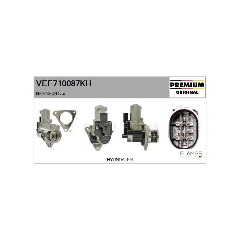 FLAMAR VEF710087KH Válvula EGR - 1