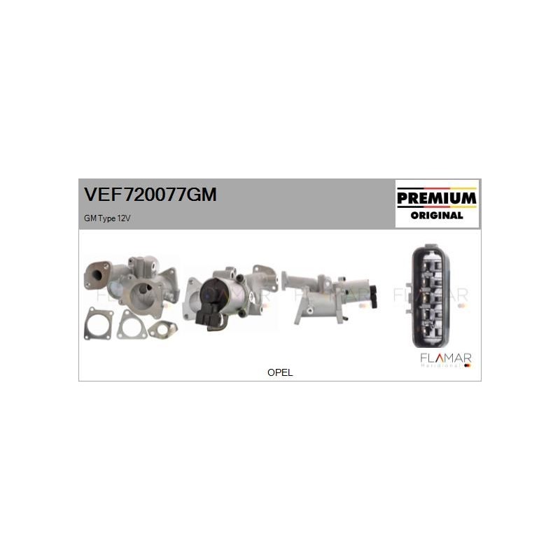 FLAMAR VEF720077GM Válvula EGR - 1