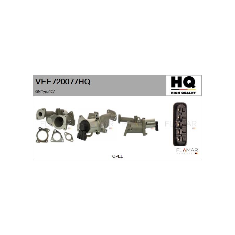 FLAMAR VEF720077HQ Válvula EGR - 1