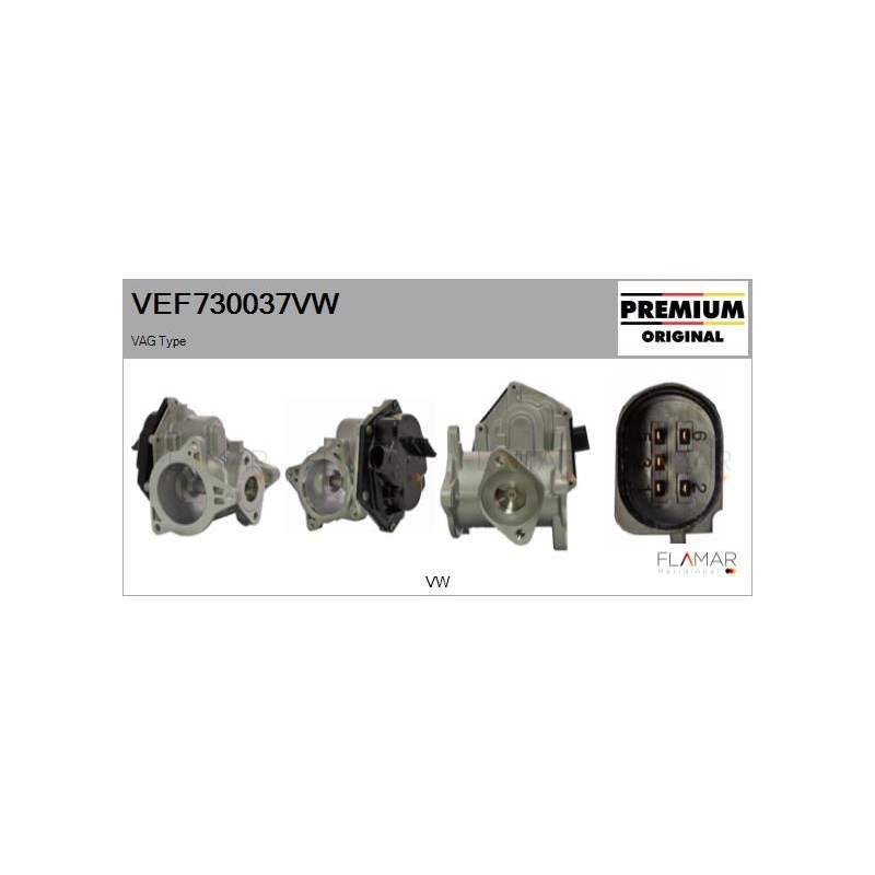 FLAMAR VEF730037VW Válvula EGR - 1