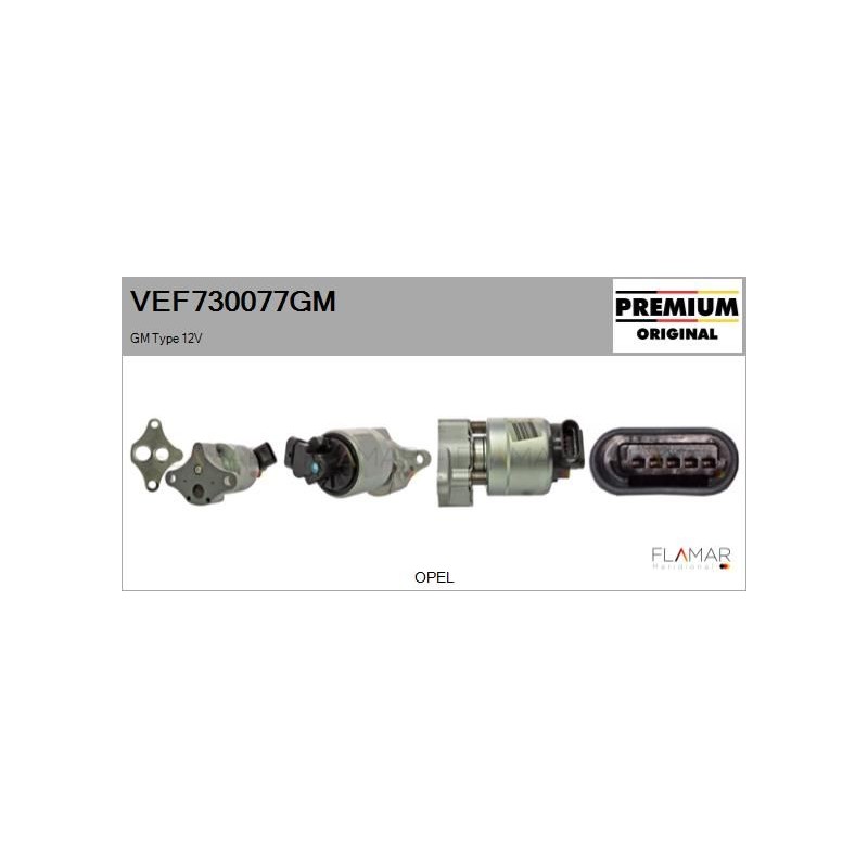 FLAMAR VEF730077GM Válvula EGR - 1