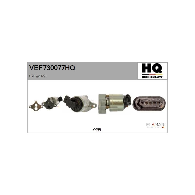 FLAMAR VEF730077HQ Válvula EGR - 1