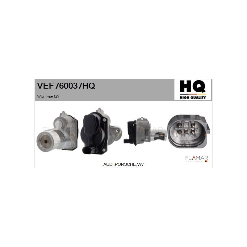 FLAMAR VEF760037HQ Válvula EGR - 1