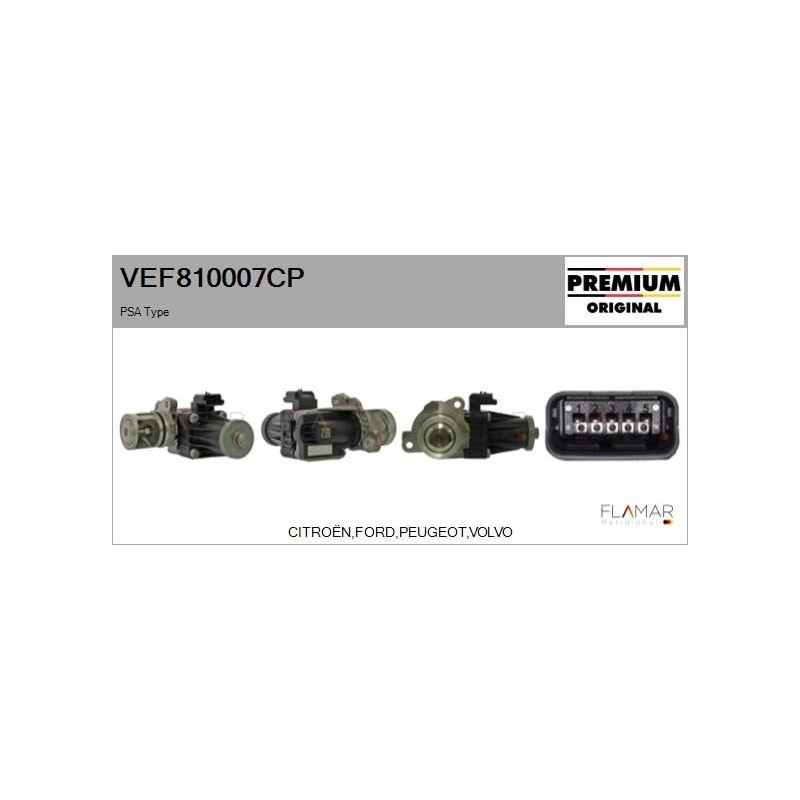 FLAMAR VEF810007CP Válvula EGR - 1