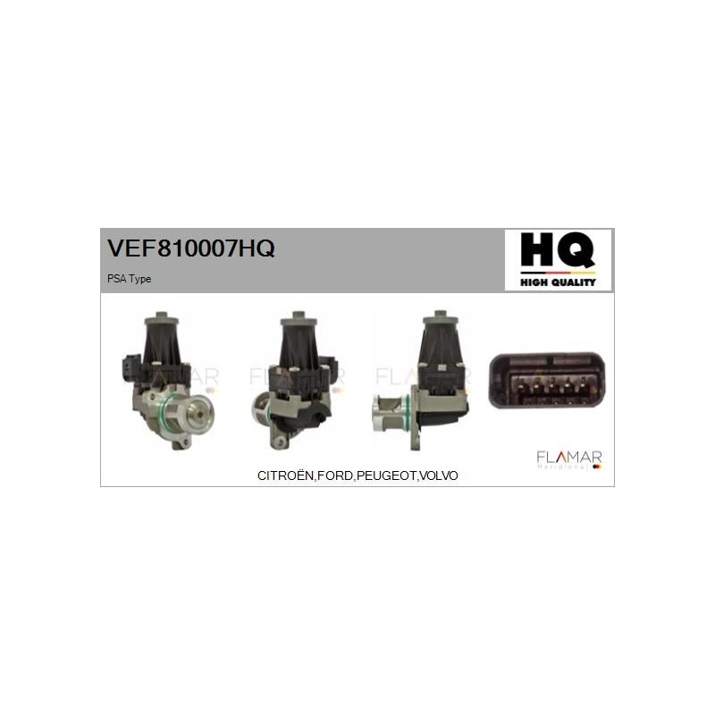 FLAMAR VEF810007HQ Válvula EGR - 1