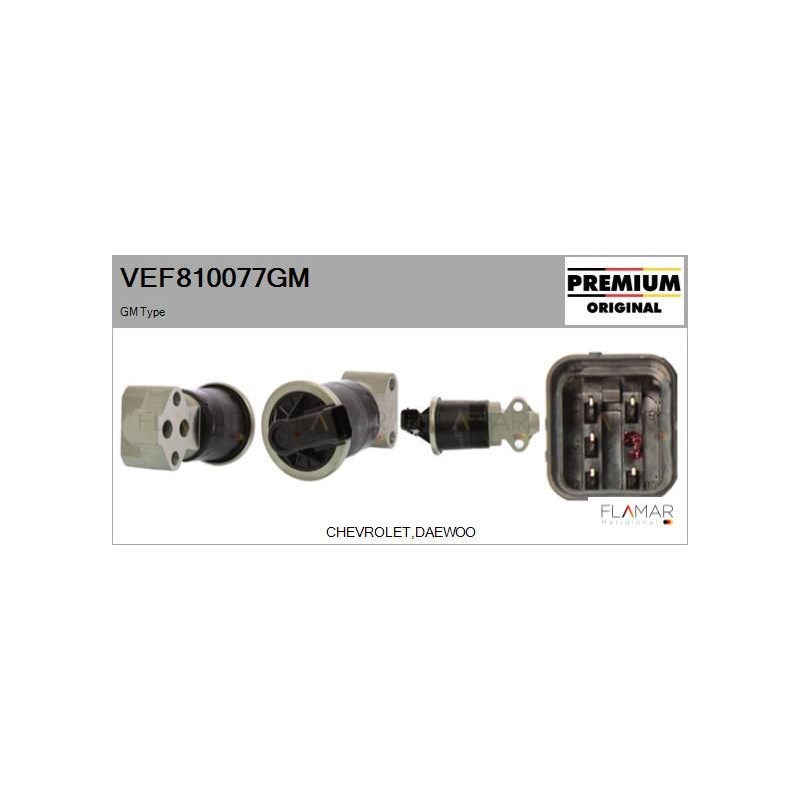 FLAMAR VEF810077GM Válvula EGR - 1
