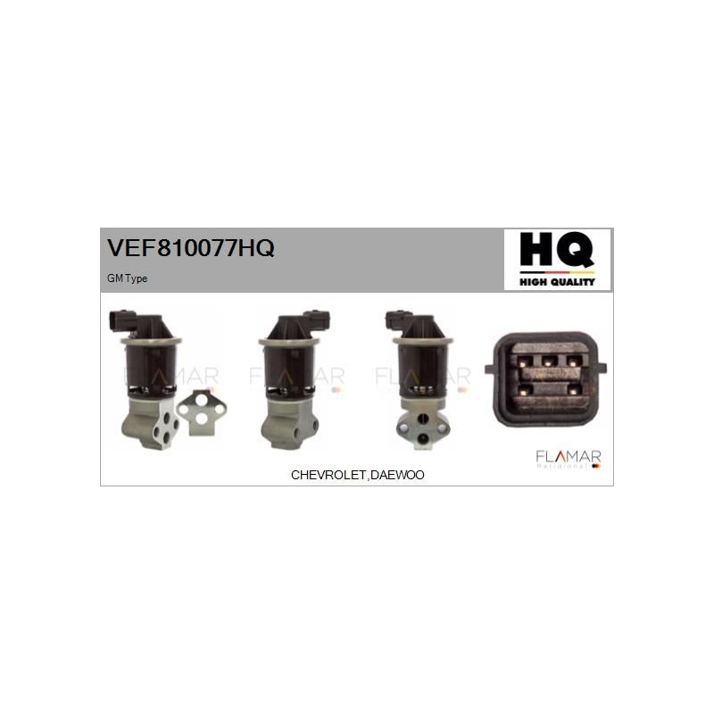 FLAMAR VEF810077HQ Válvula EGR - 1