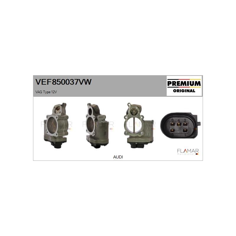 FLAMAR VEF850037VW Válvula EGR - 1