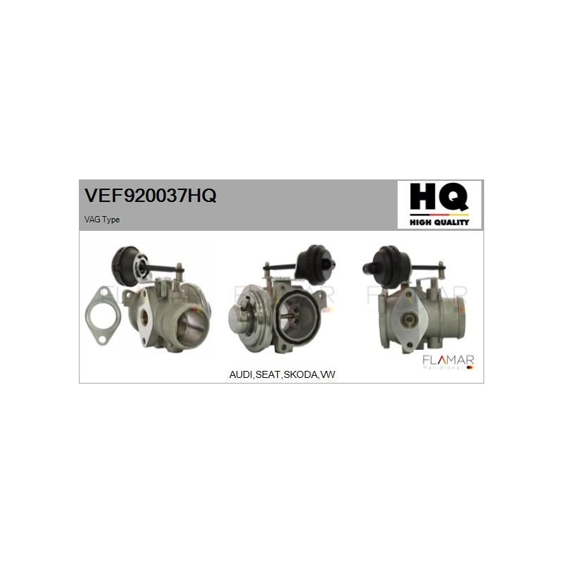 FLAMAR VEF920037HQ Válvula EGR - 1