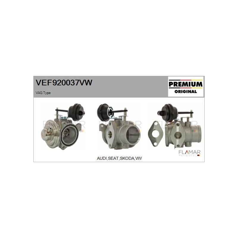 FLAMAR VEF920037VW Válvula EGR - 1