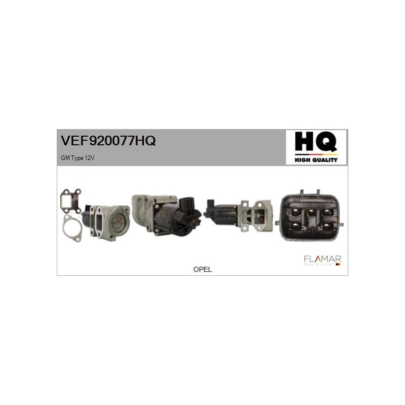 FLAMAR VEF920077HQ Válvula EGR - 1