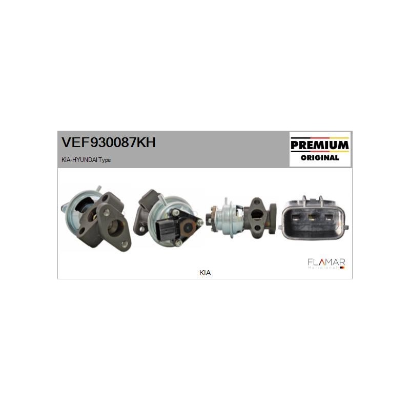 FLAMAR VEF930087KH Válvula EGR - 1
