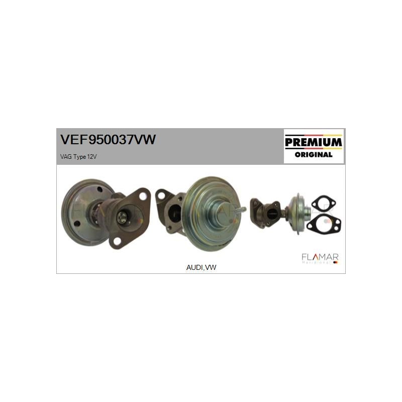 FLAMAR VEF950037VW Válvula EGR - 1