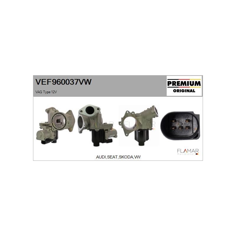 FLAMAR VEF960037VW Válvula EGR - 1