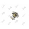 ABAKUS 053-025-0003 Termostato, refrigerante - 1